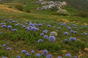 Çamlıkaya Manzaralar