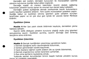 DERNEK TÜZÜĞÜ