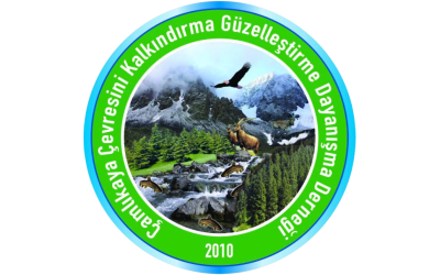 Web Sitemiz Açıldı