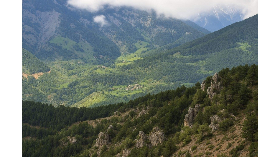 Çamlıkaya Manzaralar